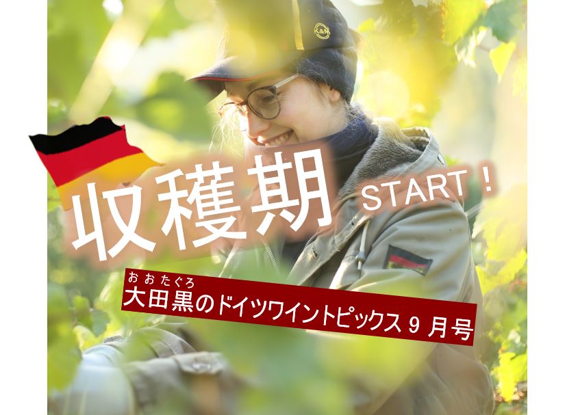 ヘレンベルガー・ホーフ株式会社‐ドイツワインの輸入卸